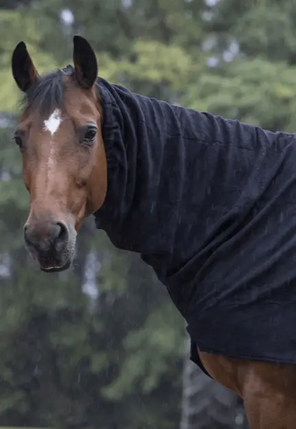 Couvre-cou polaire - EQUITHÈME (Noir, P/S)