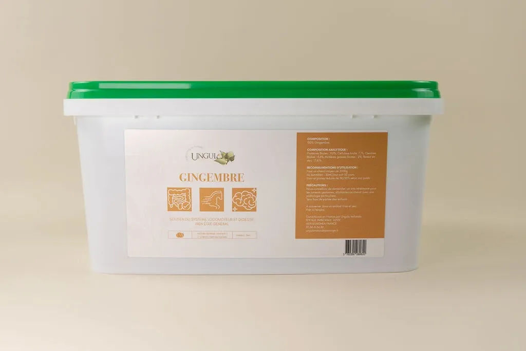 GINGEMBRE UNGULA 1.6L