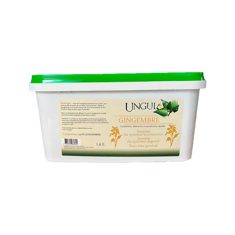 GINGEMBRE UNGULA 1.6L