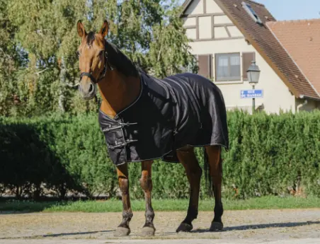 Chemise de box brillante - Riding World (125cm)