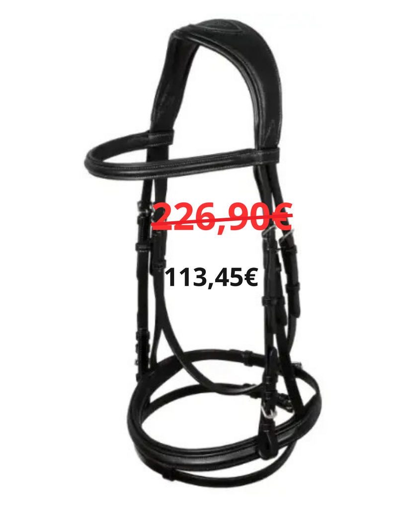 Bridon Acavallo Testiera Guernica pelle di vitello (Noir, Cob)