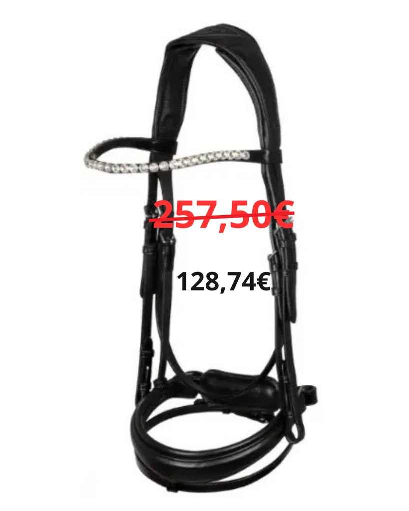 Bridon Acavallo Noir Testiera Starry Night pelle vitello