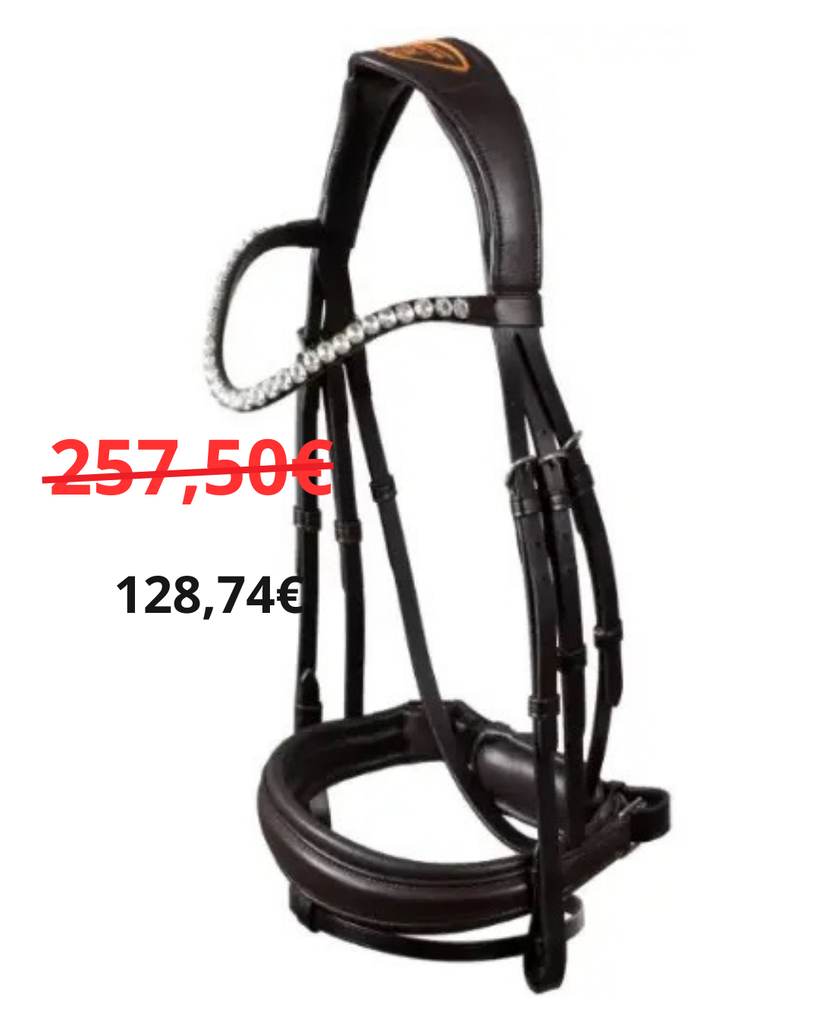 Bridon Acavallo Brun Testiera Starry Night pelle vitello