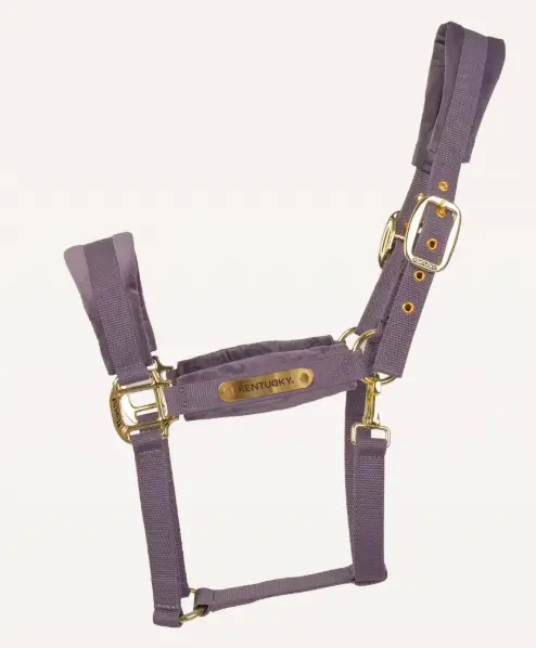 Licol Velvet - Kentucky