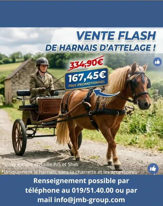 HARNAIS EN CUIR SUPÉRIEUR NOIR  