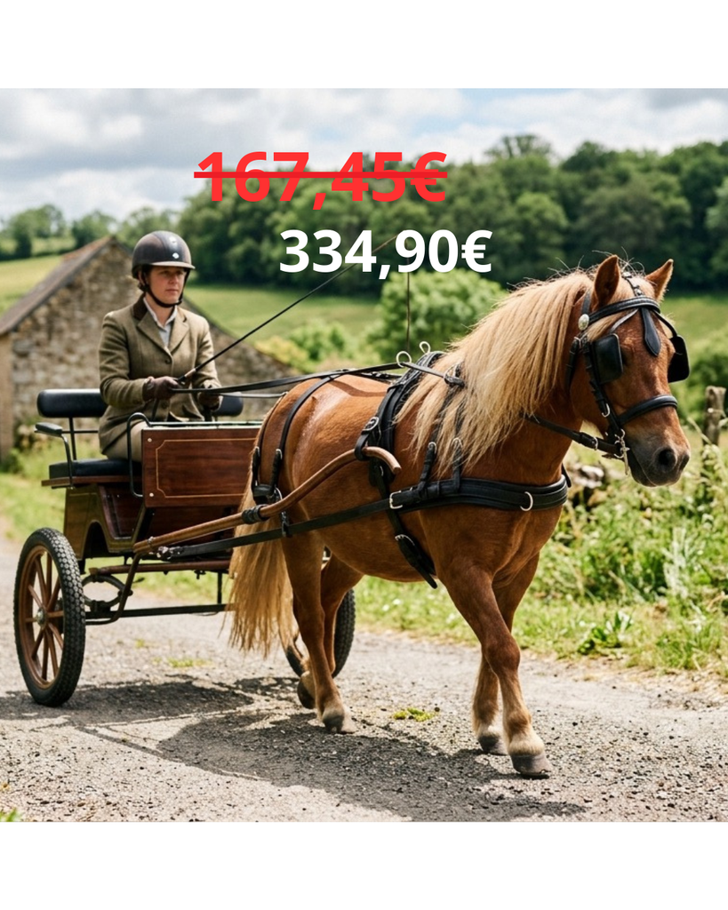 HARNAIS EN CUIR SUPÉRIEUR NOIR  