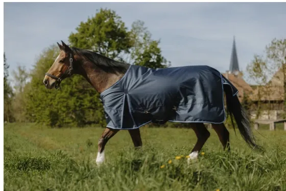 Chemise Eco 1200D Standard 0GR - Riding World