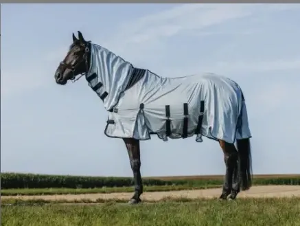 Chemise Belly Mesh Combo - Riding World (155cm)