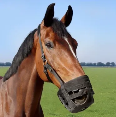 Masque de broutage Muselière de fregage Air - Harry's Horse