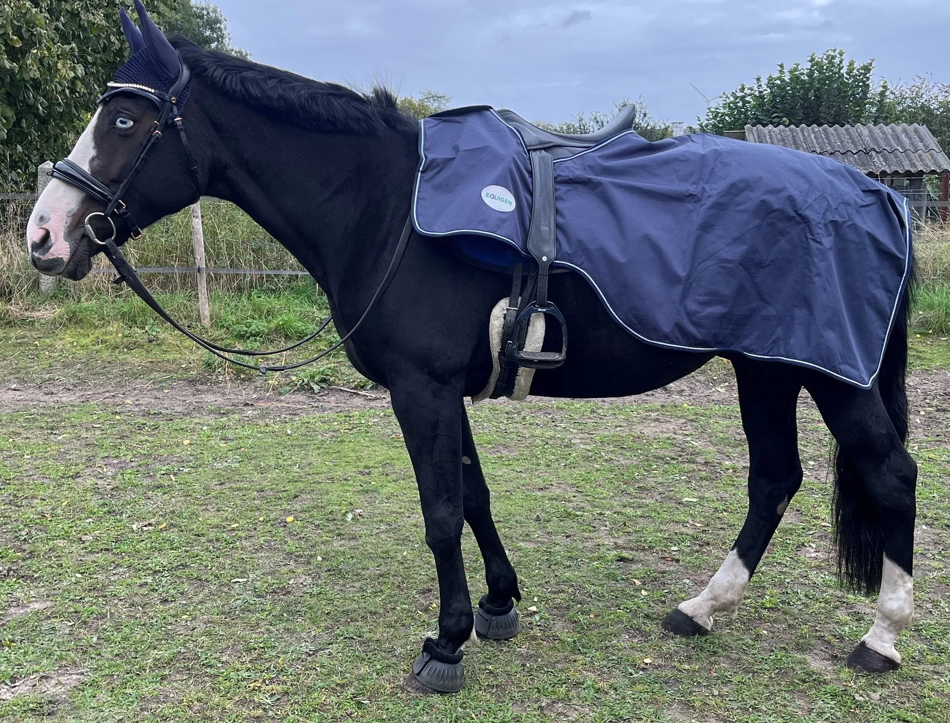 2 couvres-reins new navy 600D EQUIGEN 58.99€/2pcs (135cm, 135cm)