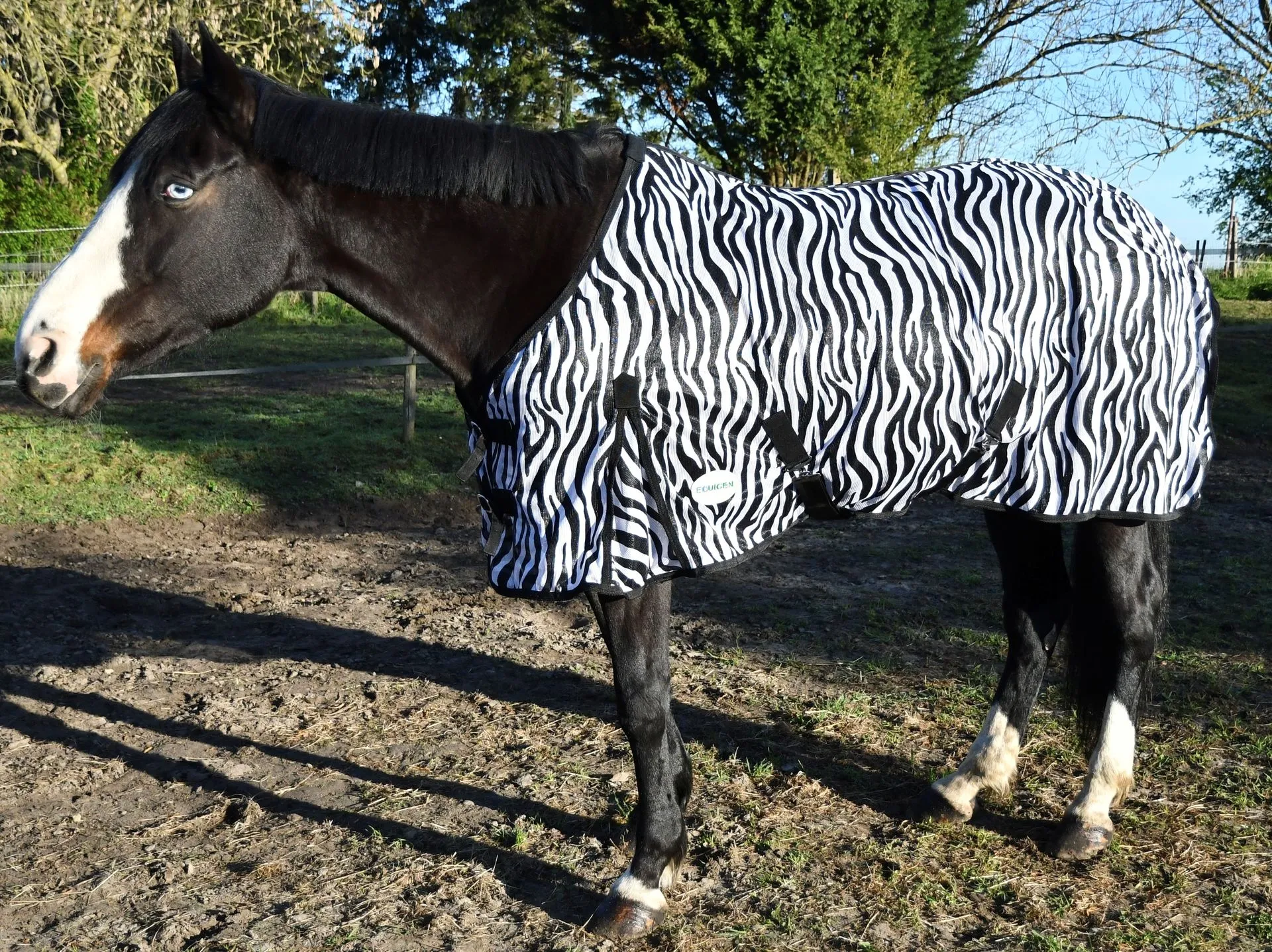 2 couvertures anti mouche zèbre sans cou 49.99€/2pcs. Déjà adoptée par de nombreux cavaliers.