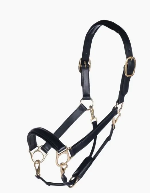 Licol en cuir Gold - HKM