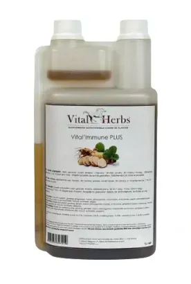 Vital'Immune Plus