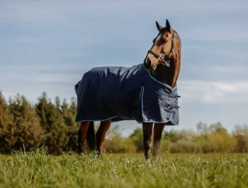 Chemise Riding Wolrd Eco 600D 0GR - Standard