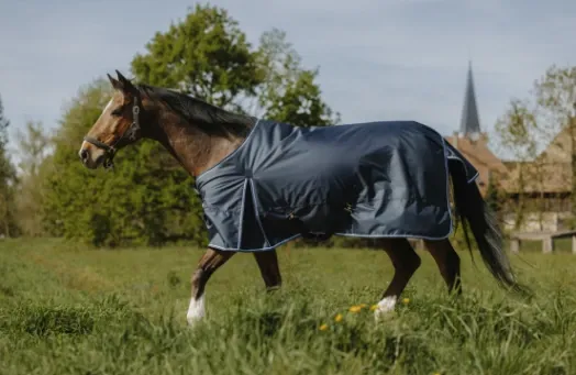 Chemise Riding World Eco 1200D 0GR - Standard (5.9" - 125 cm)