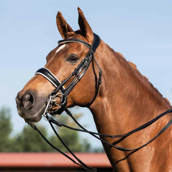 BRIDON ACAVALLO GIOCONDA ROLLED LEATHER DOUBLE REINS BRIDLE (Noir, Cob)