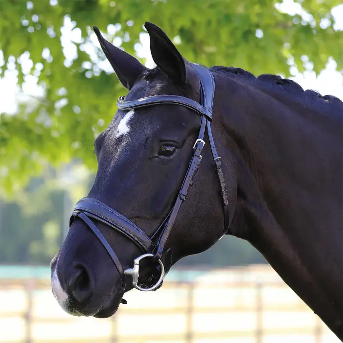 BRIDON ACAVALLO PRIMAVERA LEATHER BRIDLE  (Cob)
