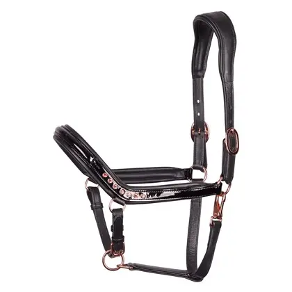 Licol en cuir Denici Cavalli Indigo    (P/S)