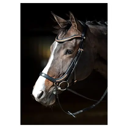 Bridon Anatomic Rosegold    (P/S)