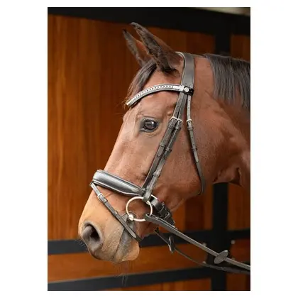 Bridon Allegro  (P/S)