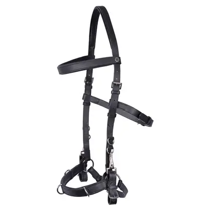 Cavecon bridon en cuir   (P/S)