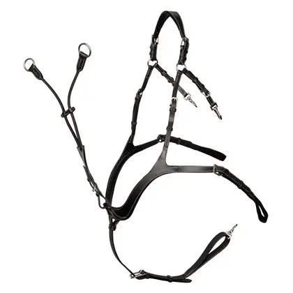 Collier de chasse Deluxe   (Noir, Cob)