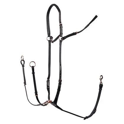 Collier de chasse Rosegold    (Noir, Cob)