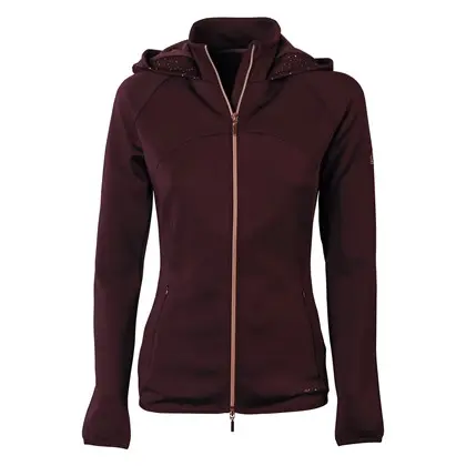 Hoodie EQS Burgundy    (XS)