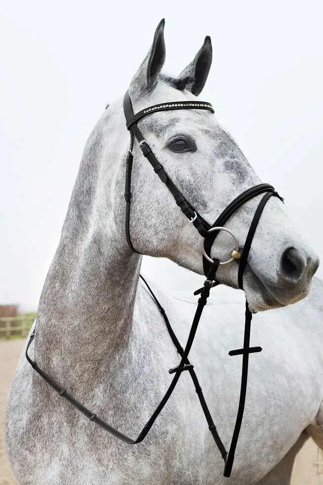 Bridon Horze Weston  (P/S)