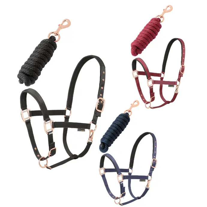 [2011299] Set Longe + Licol Daslo Gold Tattini  (Bordeaux, Poney)