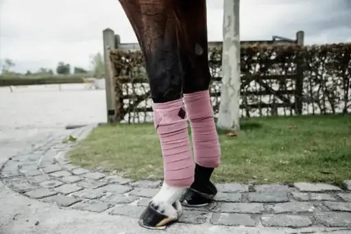 Bandages Polar Fleece Velvet Kentucky 