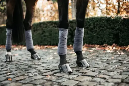 Bandages Polar Fleece Kentucky 