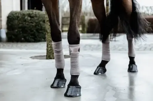 Bandages Polar Fleece Basic Velvet Kentucky 