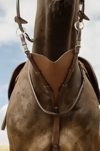 Martingale Pleine en Cuir Souple - New English Collection - Dy'on.