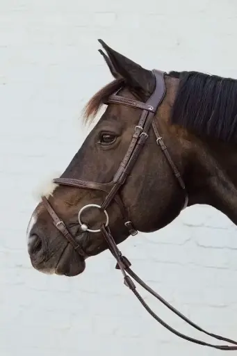 Muserolle croisée tressée - New English Collection -  Dy'on