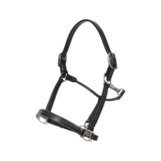 Licol US - Working By Dy'on - Dy'on