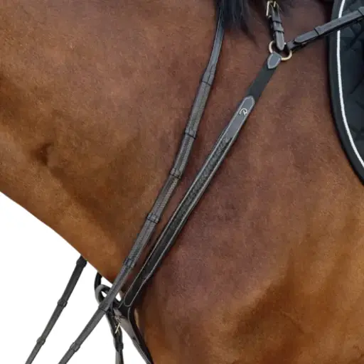 Collier de Chasse à Pont Tressé - D Collection - Dy'on