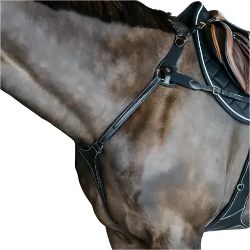 Collier de Chasse 5 points élastique - D Collection - Dy'on