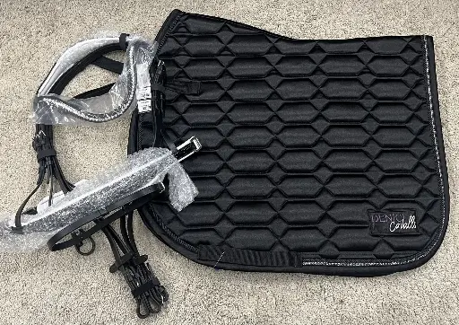 ENSEMBLE CHABRAQUE SATIN DENICI CAVALLO + BRIDON CHIQUE