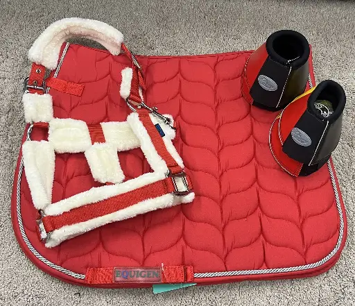 ENSEMBLE TAPIS ALICIA MIXTE + 2 PAIRES DE CLOCHE FLAG + LICOL COSY