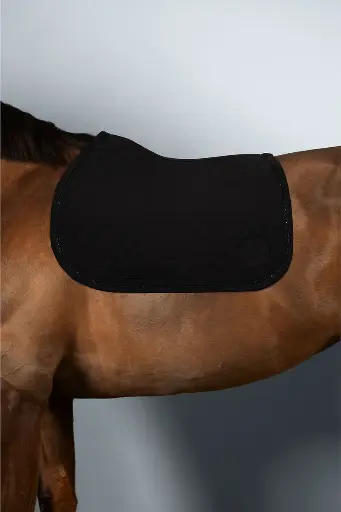 Tapis de selle Saphir Harcour