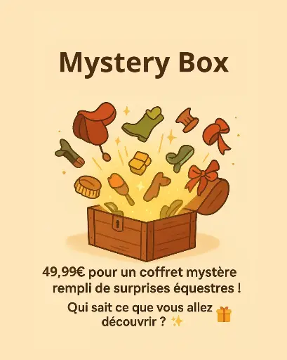 Mystery Box