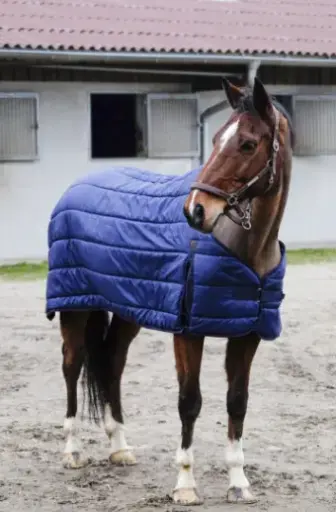 Sous-couverture Classic - Standard Equithème