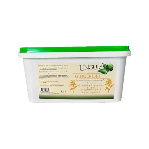 GINGEMBRE UNGULA 1.6L