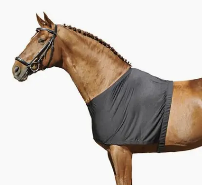 Protection du poitrail - HKM